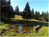 Za Ušivcem - Gradišče (Velika planina)